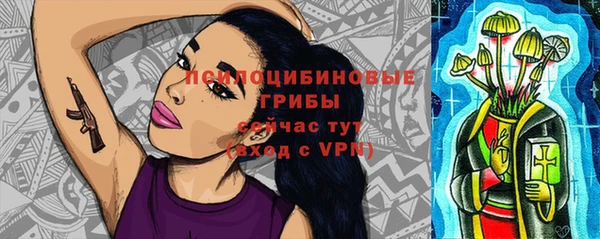 мет Протвино