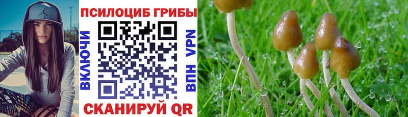 Галлюциногенные грибы Cubensis  Суоярви 