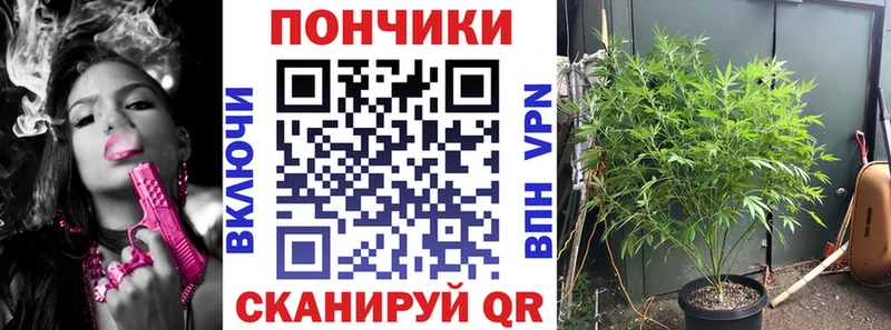 Бошки марихуана индика  даркнет официальный сайт  Суоярви 